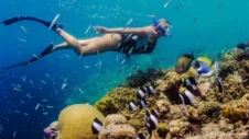 Cu curentul: locuri de snorkeling în Tenerife